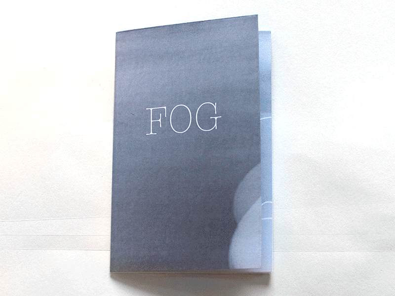 Fog mini-book book cat fog illustration print zine