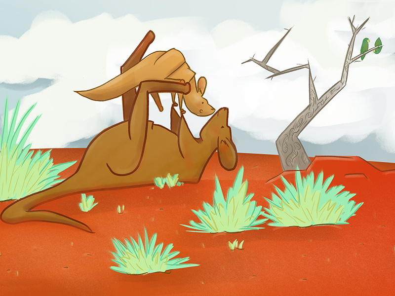 Kangaroos playing airplane joey illustration character outback kidslit kangaroos