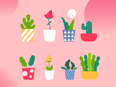 Flower shelf from online shop amam colorful explainer flowers illustration rose shelf store video