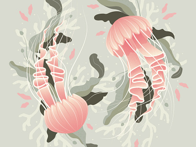 Jellyfish coral floral foliage illustration jellyfish seaweed vector