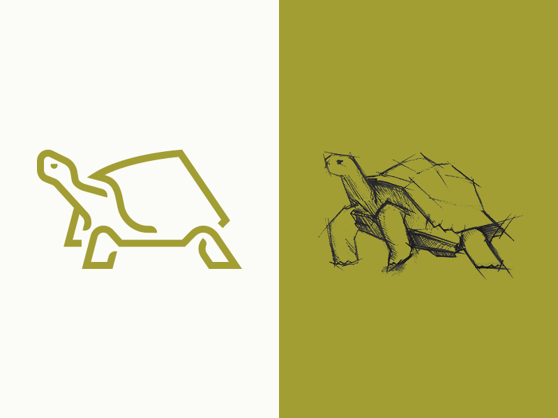 Turtle - Logo Process animal buy character geometry green how to line logo power reptile symbol turtle tutorial
