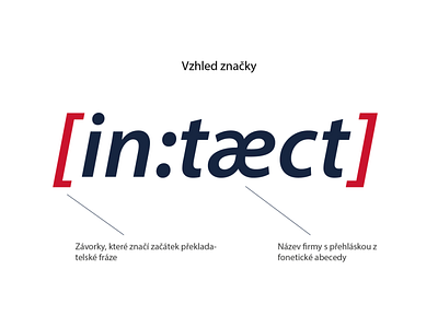 Logotype for Intact company branding design graphic design illustrator logo logotype typography vector
