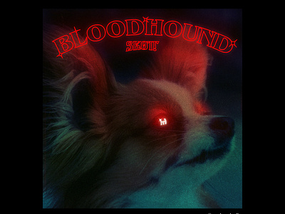 SKOTT - BLOODHOUND (single) Cover art album album art album artwork art director bloodhound concept cover art editorial design music photoshop skott typographic typographie typography visual art