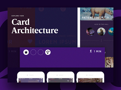 Explorer 2.0 Case Study #4 android app card case study ios portfolio ui ux