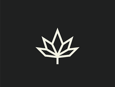 Cani Leaf branding design graphic design heap icon icon icon design iconography logo logo design logo marks monogram symbol typography