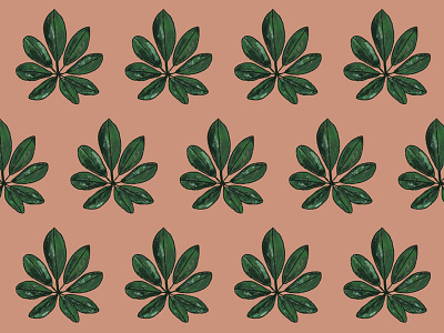 Custom illustrated pattern design for Maeli blush brand identity branding florist foliage illustration pattern visual identity