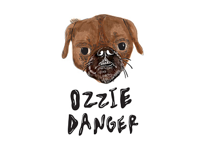 Ozzie danger dog portrait