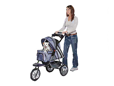 Woman pushes dog in stroller dog dog in stroller stroller