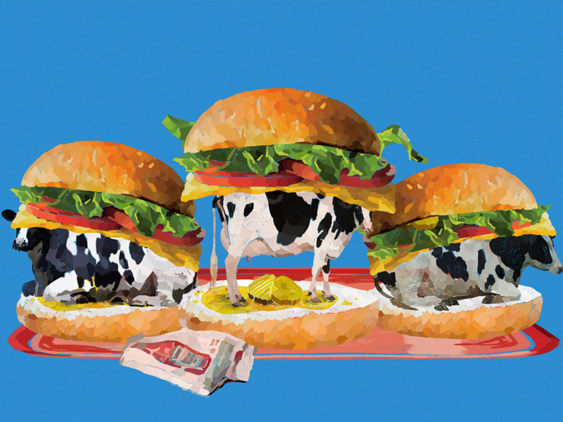 To Eat a Dairy Cow illustration food carolyn figel dairy cow hamburger