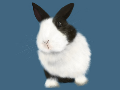 My cute little bunny : POTATO💗 illustration