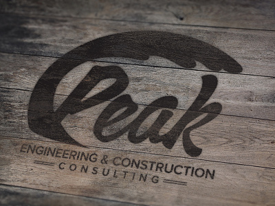 Peak Engineering Logo Concept logo mark