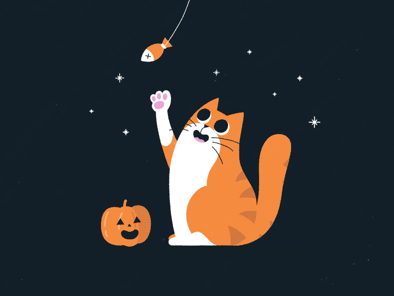 Happy Halloween after effects catfish cats character character animation gif halloween halloween design illustration motion design pumpkin spooky