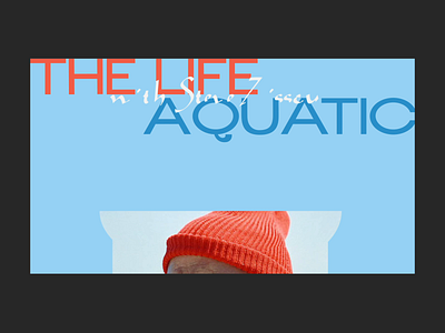 Home page Animation - The Life Aquatic with Steve Zissou animate animation concept concept design creative movie thelifeaquatic ui ui design webdesign wes anderson