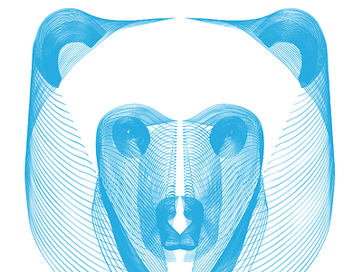 Bear Head illustration