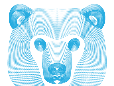 Bear Head 2 bear head illustration