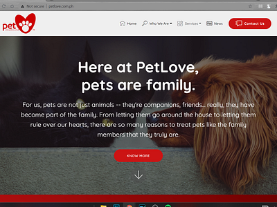 PetLove branding design website