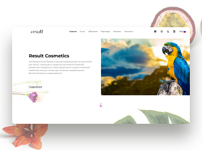 Result cosmetics art clean design illustration minimal typography ui ux web website