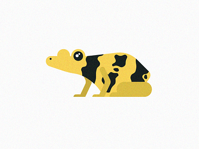 Brazilian Poison Dart Frog animal blog brazil editorial flat frog illustration minimal simple spot texture