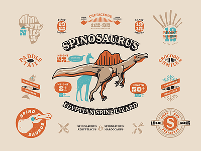 Spinosaurus Info Sheet badge branding character dinosaur fossil illustration spinosaurus typography vector