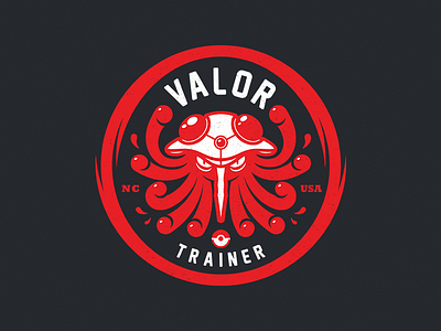 Team Valor GO!
