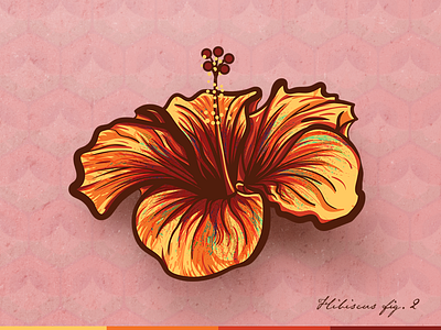 Yellow Hibiscus botanical design floral flower hawaii hibiscus illustration vector yellow