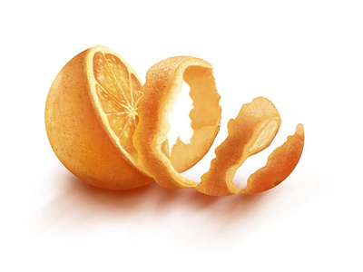 Orange fruit illustration orange procreate realistic