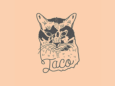 Taco Cat cat design hand made illustration taco type