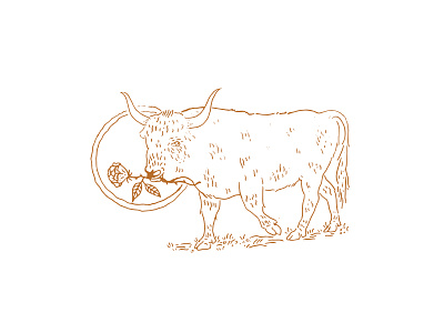 Bull Illustration art bull design graphic design hand made illustration roses sun