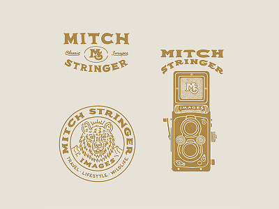 Mitch Stringer Images bear camera design graphic design handmade illustration lifestyle nature photography travel type typography