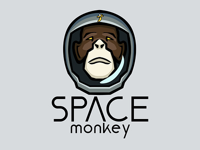 Space monkey