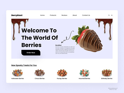 Berryblast- Landing Page Design