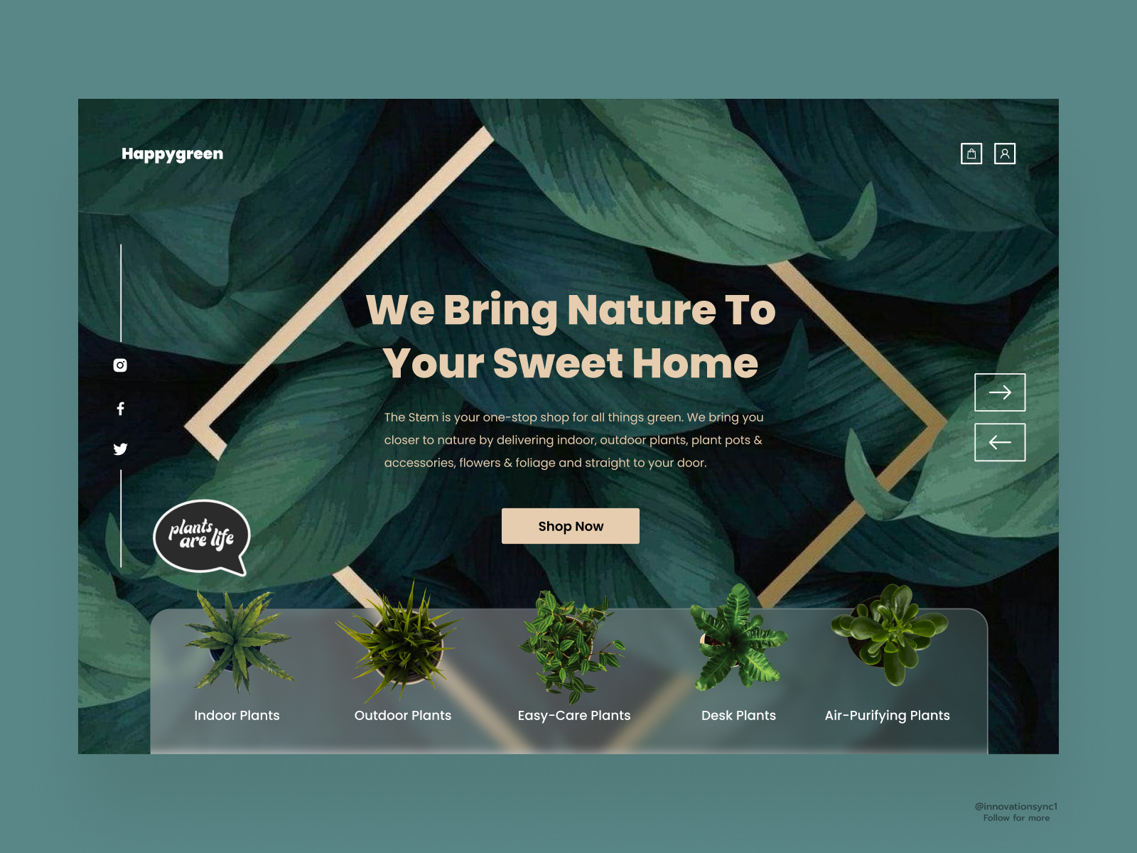 Plants site Landing Page by InnovationSync on Dribbble
