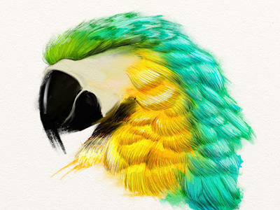 Parrot artrage illustration parrot perroquet