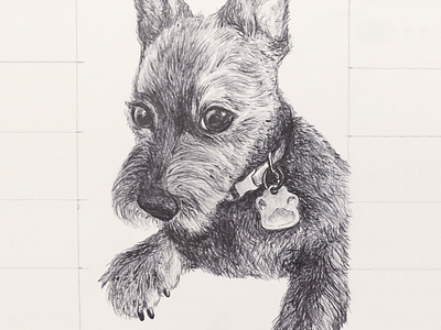 Draw Me Like One of Your French Dogs art dog drawing fine pen portrait terrier