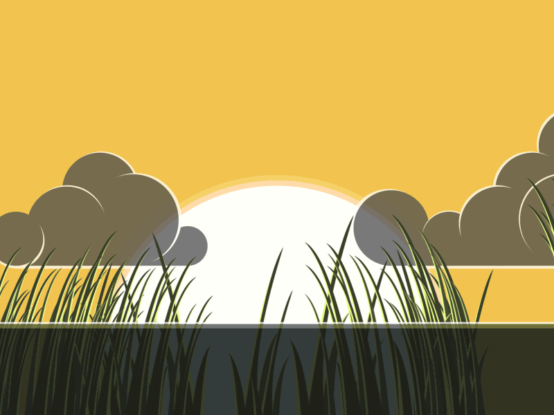 Swamp adobe after effects animation dragonfly gif illustrator motion design motion graphics sunset swamp