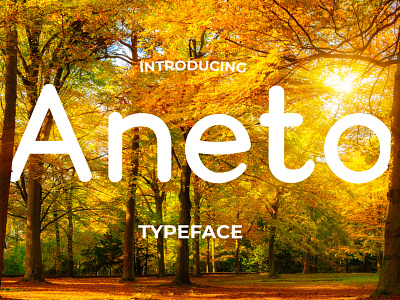 Aneto Font Package branding creative market design display font font font design fonts logo rounded font sans serif font typeface typography