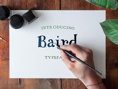 Baird Font Pack branding brush fonts creative market display font font font design fonts handwritten handwritten logo lettering logo logotype script script lettering sketch sketch font typeface typography