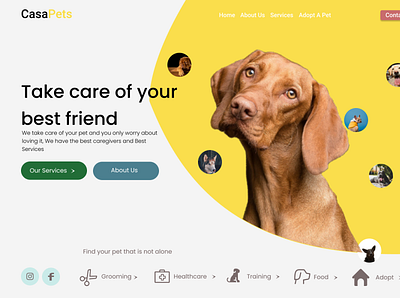 my pet shop page ui design design ui webdesign