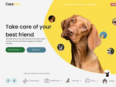 my pet shop page ui design