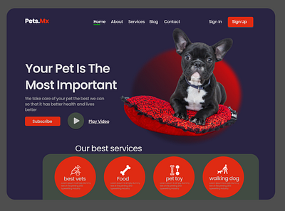 Pet shop ui design with vet service branding design logo web webdesign