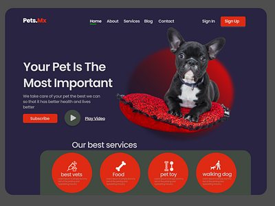 Pet shop ui design with vet service