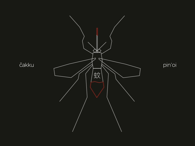 115 mosquito pinoi čakku 蚊