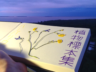 204 beauty herbarium horizon japanese kanji katakana ハーバリウム 植物標本集