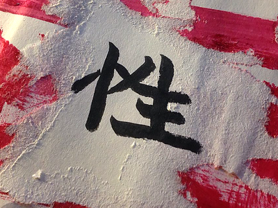 240 kanji radicals sex ⺖ ⽣ 性