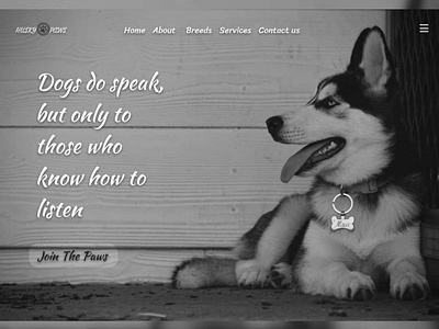 Husky paws art design illustration logo ui ux web website