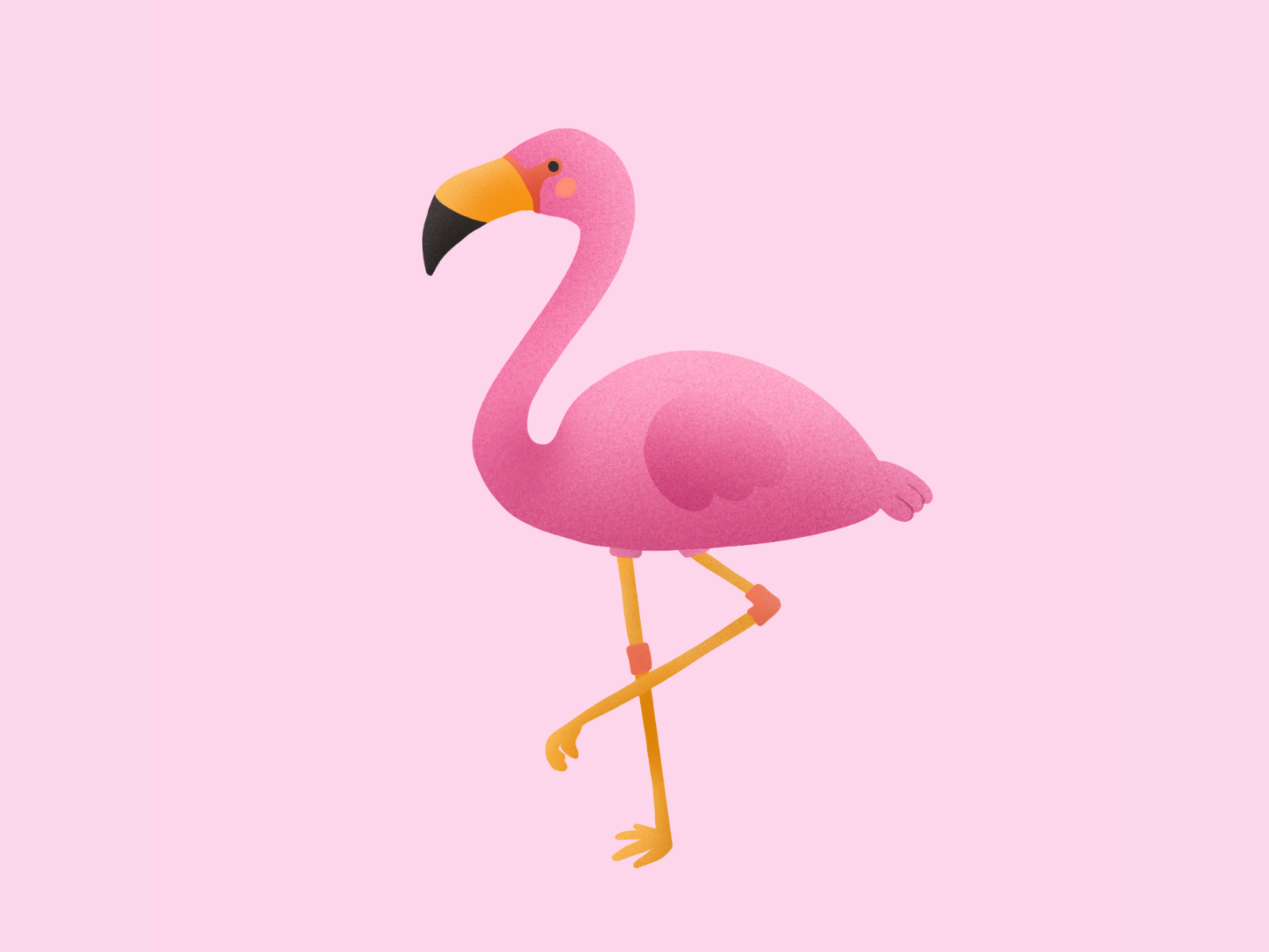 Little Flamingo by Funtastic Onion on Dribbble