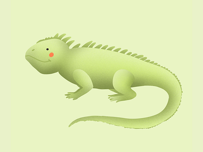 Iguana