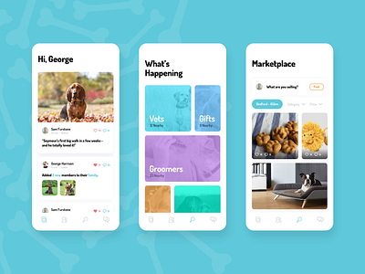 Dog Community App UI app concept dashboard design interaction interface mobile ui ux visual