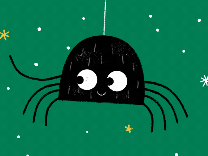 Len Legsworth book cartoon childrens cute spider stars