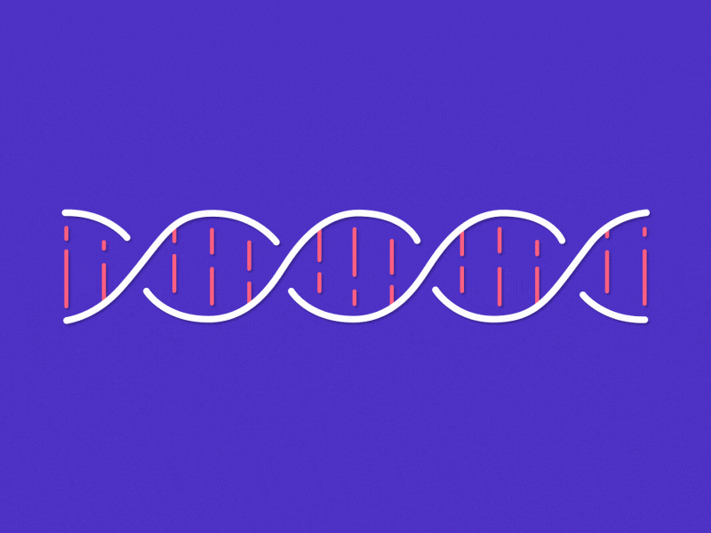 AI lightbulb effects after 2d morph dna binary ai